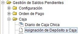 MenúAsigDepCaja.jpg