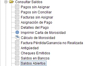 Saldos abiertos.jpg