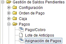 Asignación de Pagos.jpg
