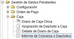MenúCobranzaDeposito.jpg