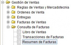 MenúResumenFacturas.jpg