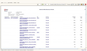 Detalle Inventario Analítico2.jpg