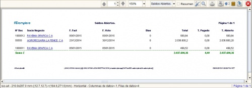 Reporte saldos abiertos.jpg