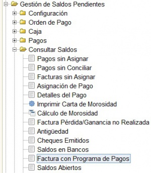 Menú factura con programa de pago.jpg