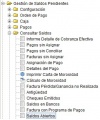 MenúSaldosAbiertos.jpg