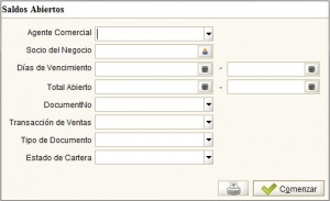 Pantalla saldos abiertos.jpg