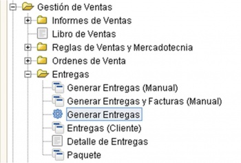Menu-entrega manual.jpg
