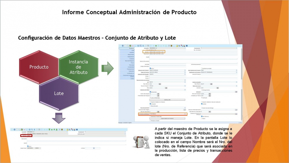 Atri y lote2.jpg