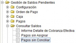 MenúPagosConciliar.jpg