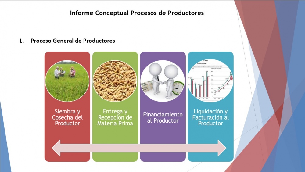 Proceso general.jpg