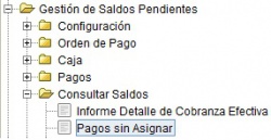 MenúPagosAsignar.jpg