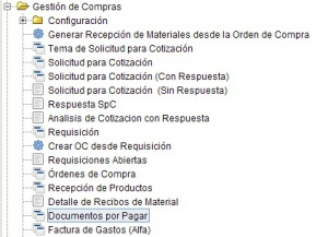 Documentos por Pagar5.jpg