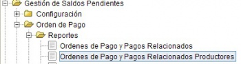 Orden de pago3.jpg