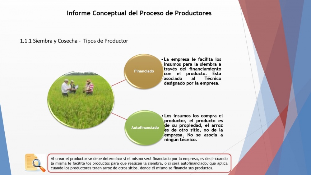 Tipos de productor.jpg