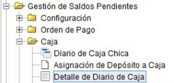 MenúDetalleDiarioCaja.jpg