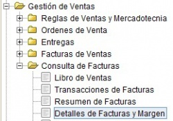 MenúDetalleFacturaMargen.jpg