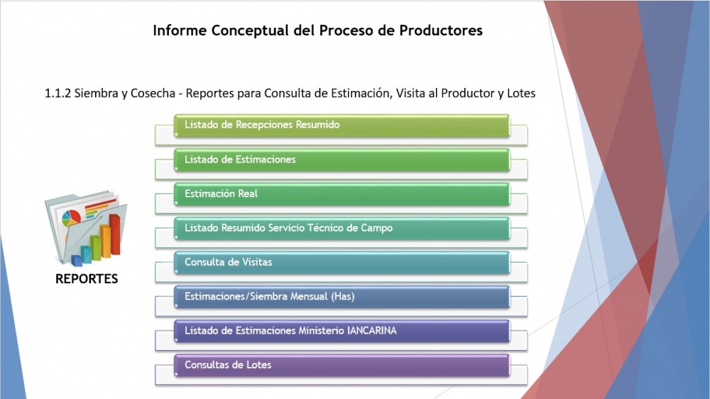 Reportes consulta estim visita.jpg