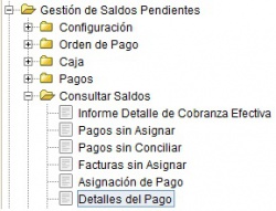 MenúDetallesPago.jpg