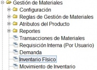 MenúInventarioFísico1.jpg