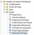 MenúSelecciónPago.jpg