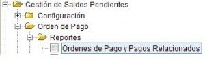 Orden de pago2.jpg