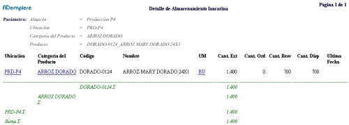 Reporte detalle de almacenamiento.jpg